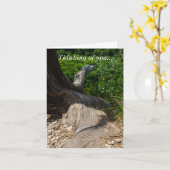 Tree Root Extension Denken Sie an Ihre Karte (Gelbe Blume)