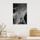 Tree Root Poster (Küche)