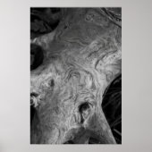 Tree Root Poster (Vorne)