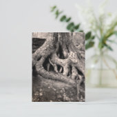 Tree Roots Postcard Postkarte (Stehend Vorderseite)