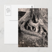 Tree Roots Postcard Postkarte (Vorne/Hinten)