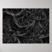 Tree Roots Poster (Vorne)