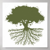 Tree Roots Poster (Vorne)