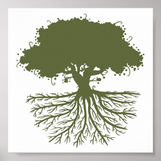Tree Roots Poster (Vorne)