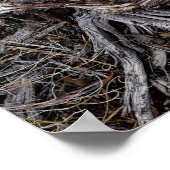 Tree Roots Poster (Ecke)