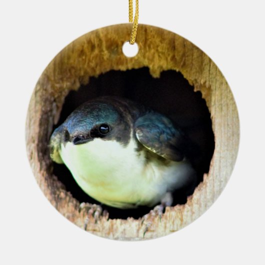 Tree Schlucken Keramik Ornament (Vorne)