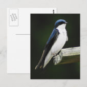 Tree Schlucken Postkarte (Vorne/Hinten)