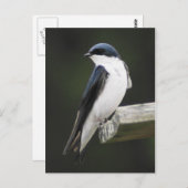 Tree Schlucken Postkarte (Vorne/Hinten)