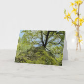 Tree/See Champlain Karte (Gelbe Blume)