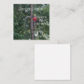 Tree Service Business Quadratische Visitenkarte (Vorne/Hinten)