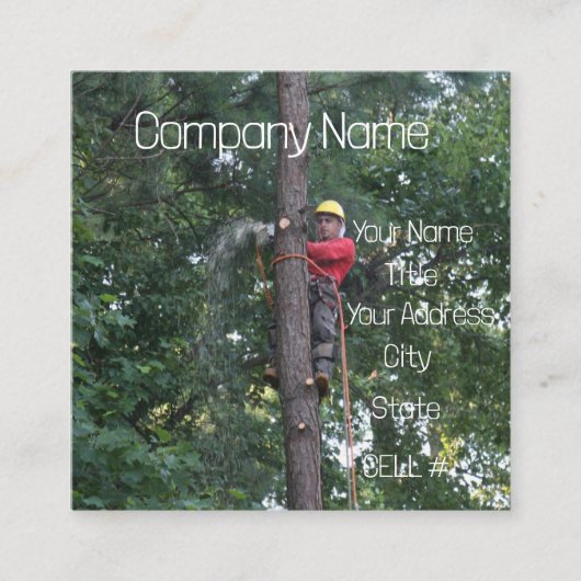 Tree Service Business Quadratische Visitenkarte (Vorderseite)