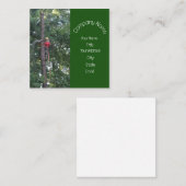 Tree Service Business Quadratische Visitenkarte (Vorne/Hinten)