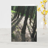 Tree Shadow Forest Karte (Gelbe Blume)