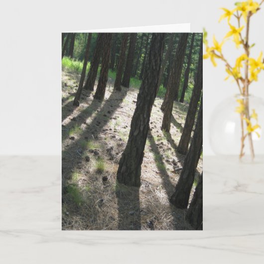 Tree Shadow Forest Karte (Gelbe Blume)