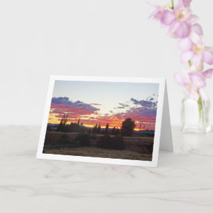 Tree Silhouette Abend Sunset Karte