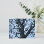 Tree Silhouette Foto Postcard Postkarte (Stehend Vorderseite)