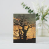 Tree-Silhouette-Foto Postkarte (Stehend Vorderseite)