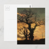 Tree-Silhouette-Foto Postkarte (Vorne/Hinten)