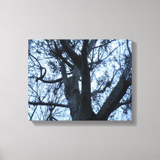 Tree Silhouette Fotogarph Canvas Print Leinwanddruck (Vorderseite)