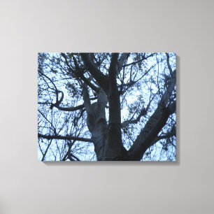 Tree Silhouette Fotogarph Canvas Print Leinwanddruck