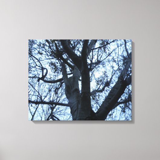 Tree Silhouette Fotogarph Canvas Print Leinwanddruck (Vorderseite)