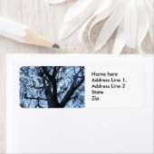 Tree-Silhouette-Fotografie - benutzerdefinierte Ad (Insitu)