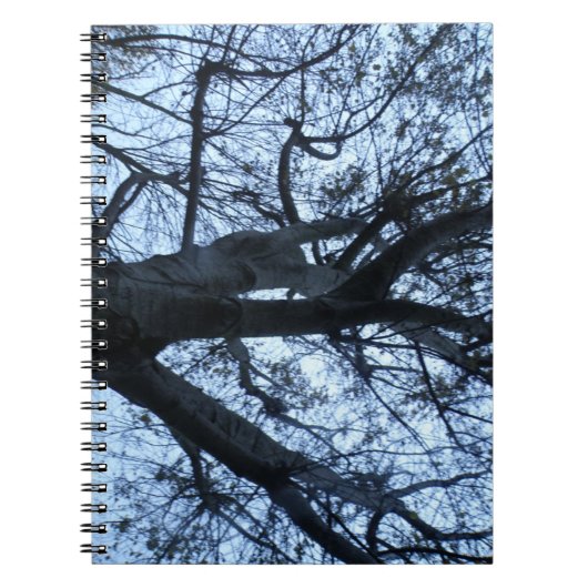 Tree Silhouette Fotograph Notebook Notizblock (Vorderseite)