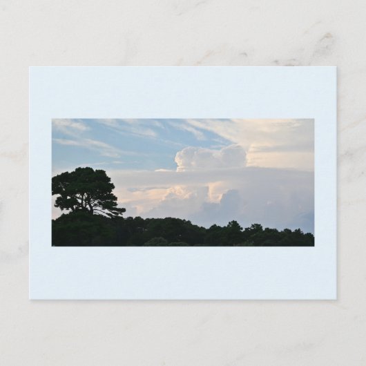 Tree-Silhouette mit Clouds Postkarte (Vorderseite)