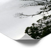 Tree Silhouette Powerscourt Gardens Fotografy Poster (Ecke)