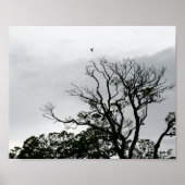 Tree Silhouette Powerscourt Gardens Fotografy Poster (Vorne)