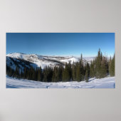 Tree Skiing Poster (Vorne)