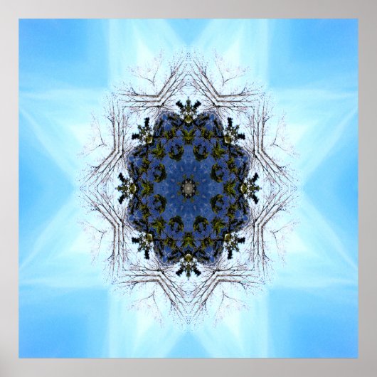 Tree Star..... Poster (Vorne)