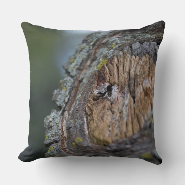 Tree Stump Fotografie Kissen (Vorderseite)