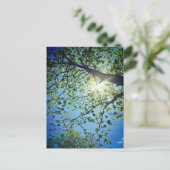 Tree & Sun Postcard Postkarte (Stehend Vorderseite)