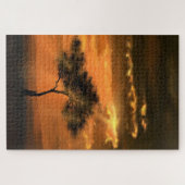 Tree Sunlight Puzzle (Horizontal)