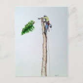 Tree Surgeon Arborist at work present Postkarte (Vorderseite)