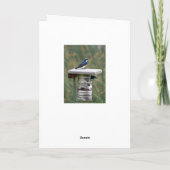 Tree Swallow Couple Happy Anniversary Karte (Rückseite)