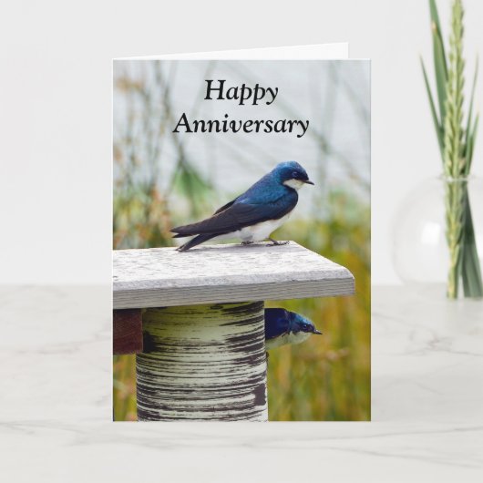 Tree Swallow Couple Happy Anniversary Karte (Vorderseite)
