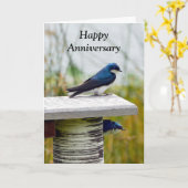 Tree Swallow Couple Happy Anniversary Karte (Gelbe Blume)