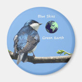 Tree Swallow Ecology magnet (Vorne)