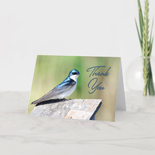 Tree Swallow Foto Danke Karte