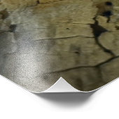 Tree Swallow Fotodruck (Ecke)