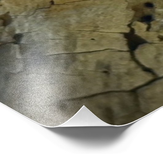 Tree Swallow Fotodruck (Ecke)