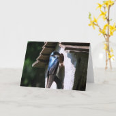 Tree Swallow Karte (Gelbe Blume)
