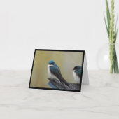 Tree Swallow Note Card (leer) Karte (Vorderseite)