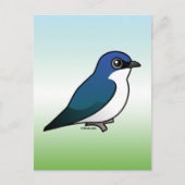 Tree Swallow Postkarte (Vorderseite)