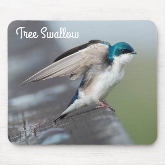 Tree Swallow Stretch Mousepad (Vorne)