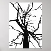 Tree Top Abstrakt Poster (Vorne)