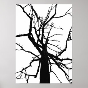 Tree Top Abstrakt Poster