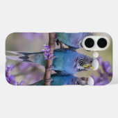 Tree Top Chatter: Blue Budgies in Jacaranda Tree, Case-Mate iPhone Hülle (Rückseite (Horizontal))